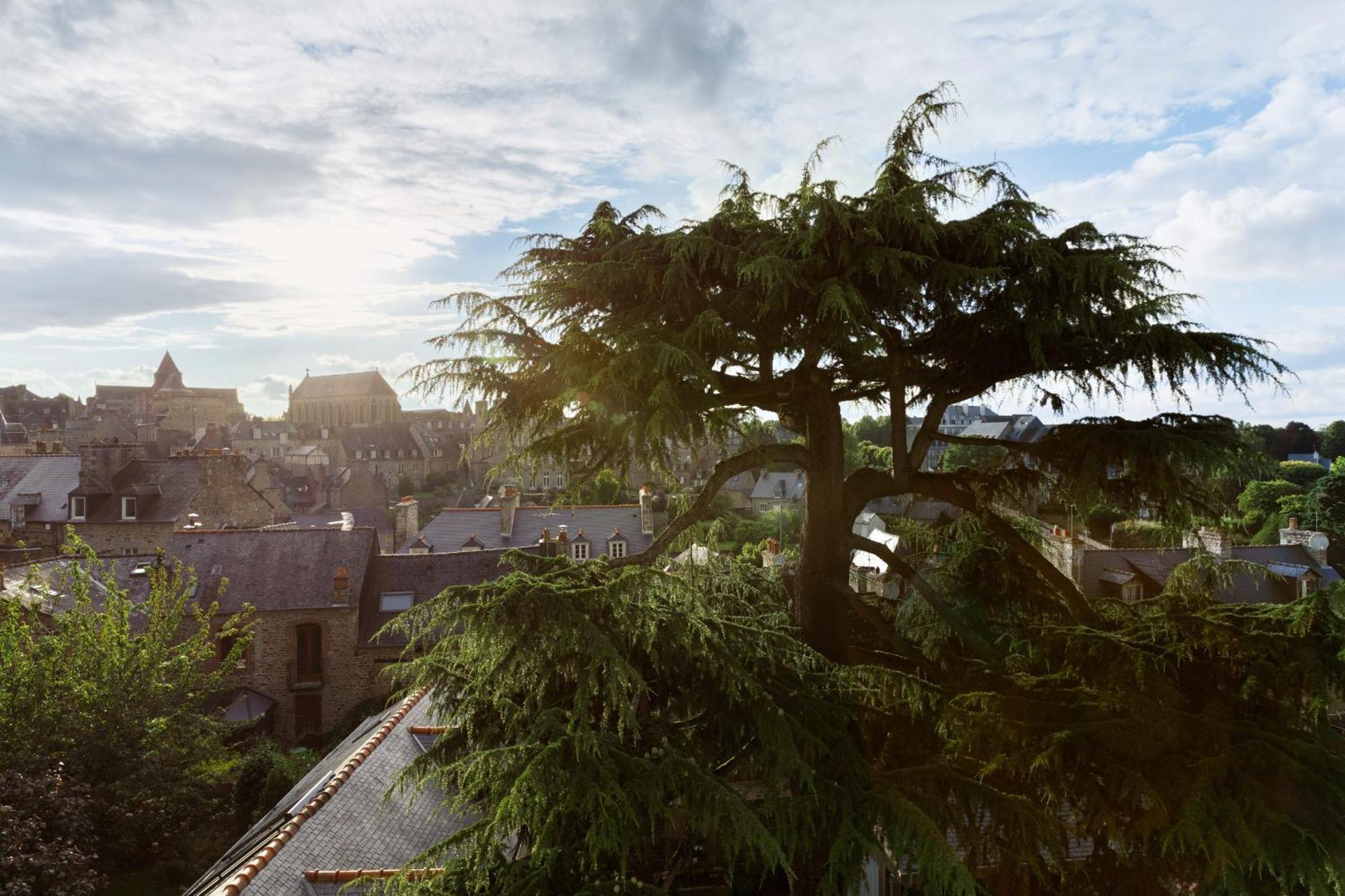 Clos Du Cedre - Chambres D'Hotes D'Exception, Luxury B&B A 迪南 客房 照片